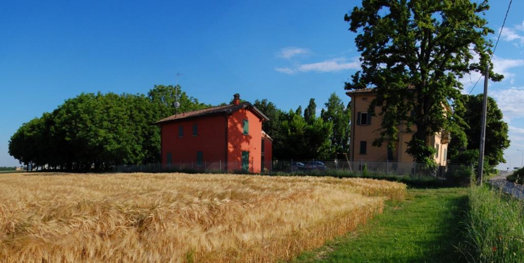 B&B L'Alberone Budrio  Exterior foto